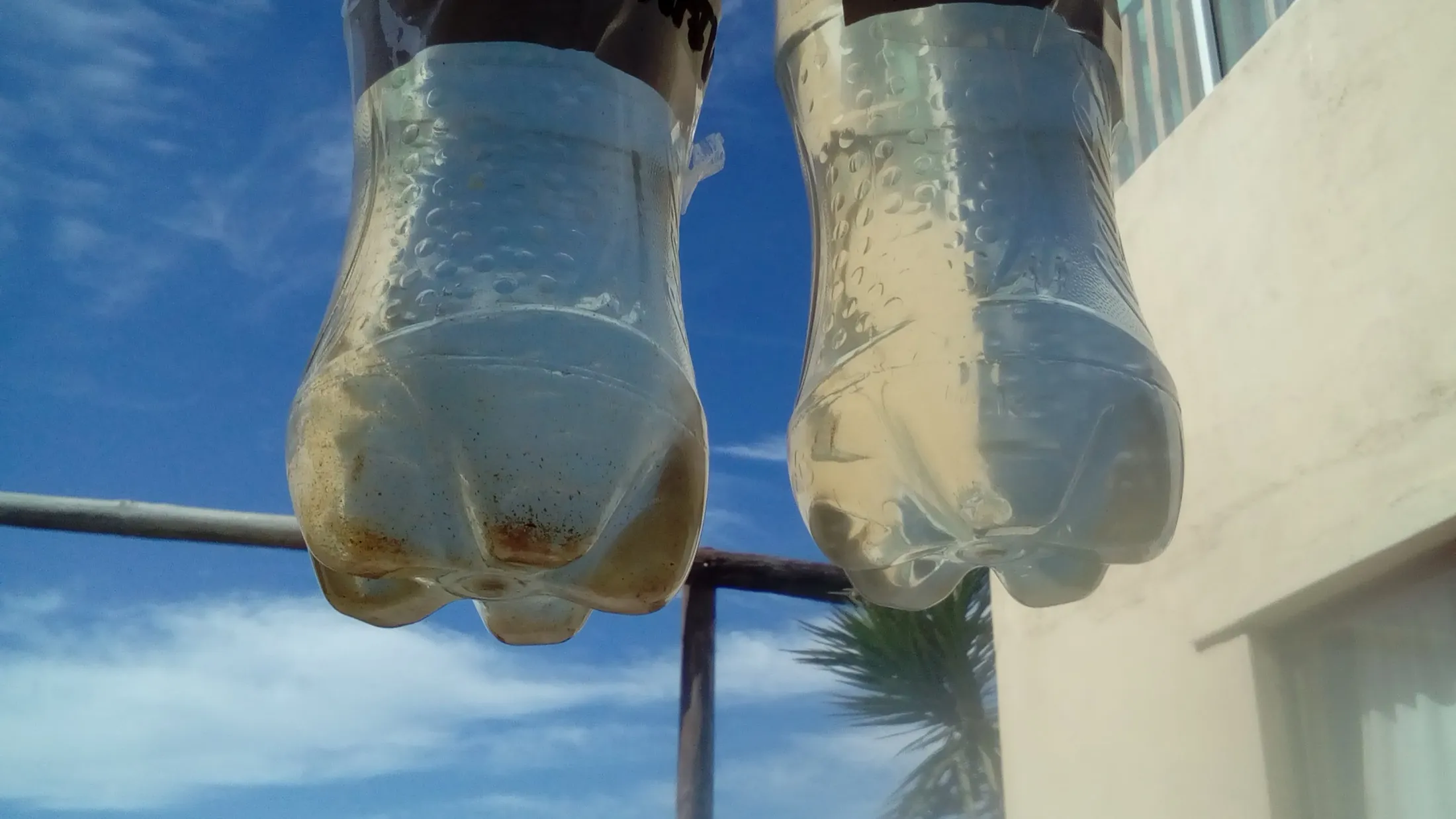 Two bottles of cloudy water held against a blue sky